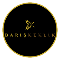 logo_bariskeklik_black
